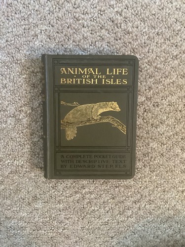 Animal life the british - animal, of