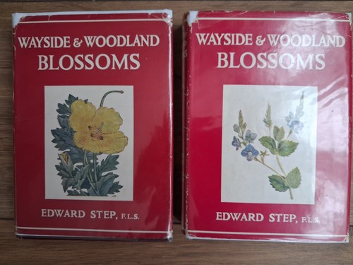 Wayside and woodland - wayside, blossoms