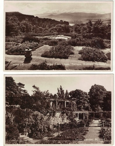 Real photo postcards - photo, bodnant
