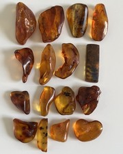 Natural Baltic Amber Stones Polished 16 Pieces 31 grams Some With Inclusions