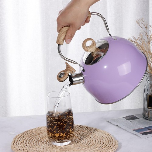 Tea kettle for - tea,