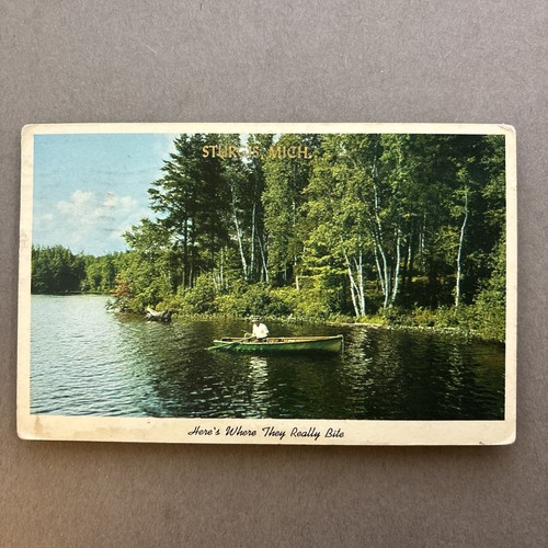 Fishing postcard sturgis - fishing,