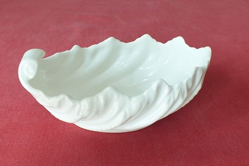 Small white coalport shell - white,