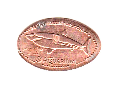 Elongated penny birch - elongated, "birch