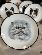 5 Highly Collectible Cat