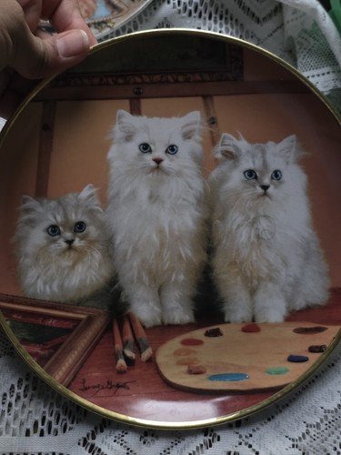 Franklin mint cat collectors - franklin,