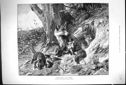 Original old antique print - antique,