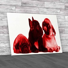 Adorable French Bulldog Pug Puppies 8 Weeks Old Red Canvas Print Large Picture