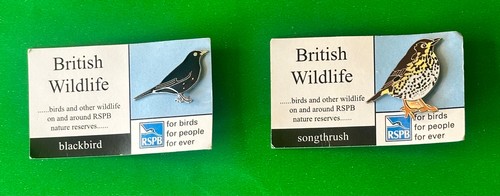 Pair rspb pin - pin, song