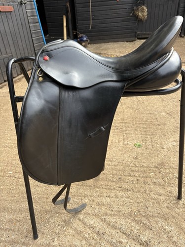 Albion legend dressage - legend, k2