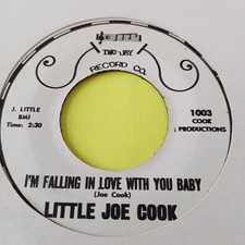 Little Joe Cook - Im Falling