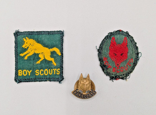 Vintage boy scouts wolf cub - boy,