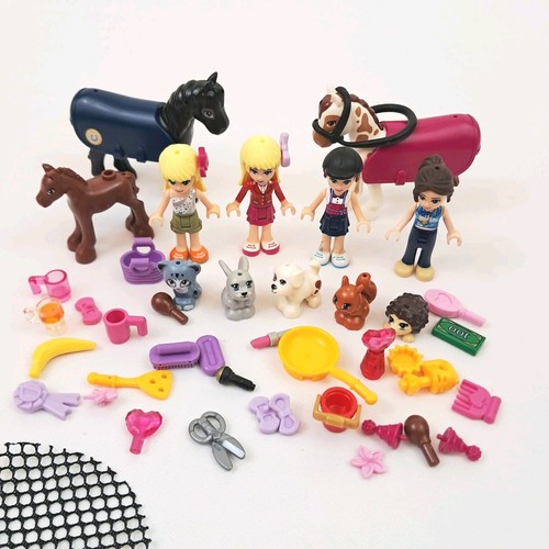 Lego friends minifigures - friends,
