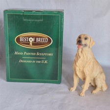 Best Of Breed   Golden