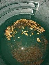 Scottish Gold Hand Panned nuggets smalls and pickers Delivered 