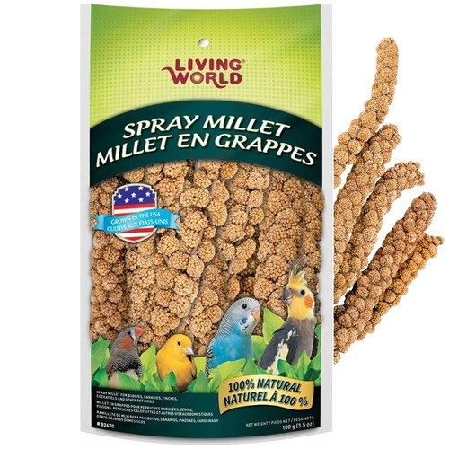 Millet spray for - millet, birds,