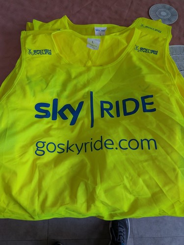 Sky ride bios cycling vest - sky,