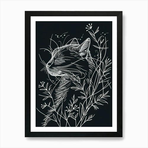 Himalayan cat minimalist - cat,