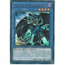 YuGiOh DLCS-EN069 Paladin of