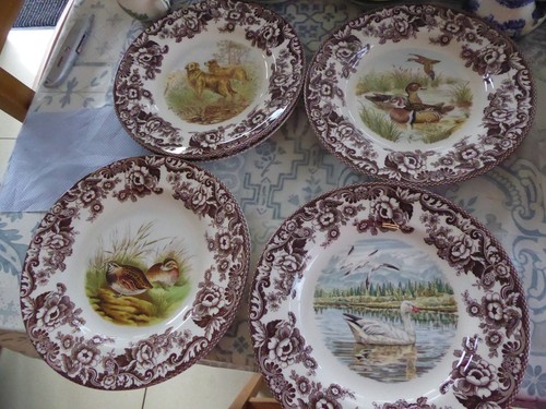Brand new spode - brand,