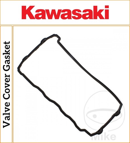 Kawasaki 1200 2002 2005 - zz-r,