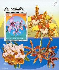ORCHIDS / Orchid Wild Flowers