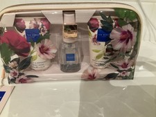 Ted Baker Little Beauties