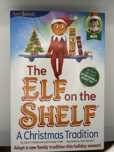 The elf shelf boy - elf,
