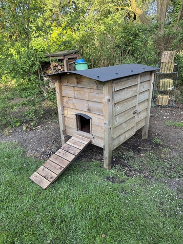 Chicken coop wooden - coop,, hen