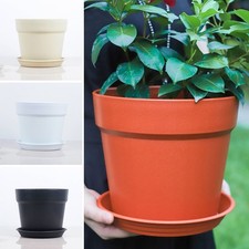 Eco friendly Resin Plant Pot with Water Storage and Tray for Indoor Gardening