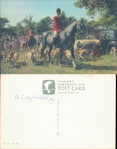 Fox hunting scene - with, horse