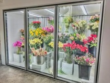 Bespoke display chiller cold - display,