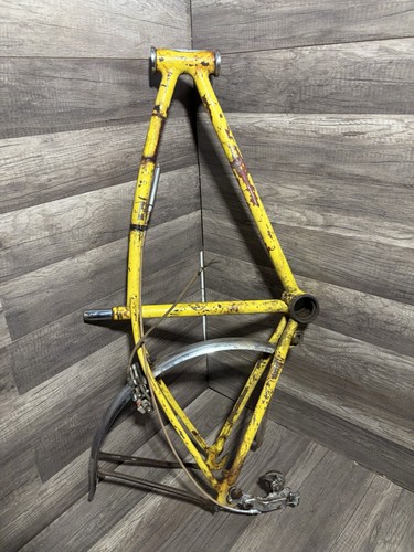 1967 schwinn stingray fastback - schwinn,