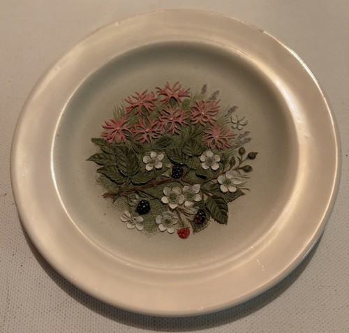 Vtg floral botanical - &,