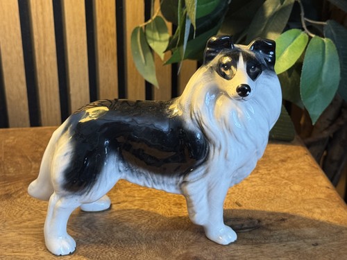 Melba ware border collie - ware, dog