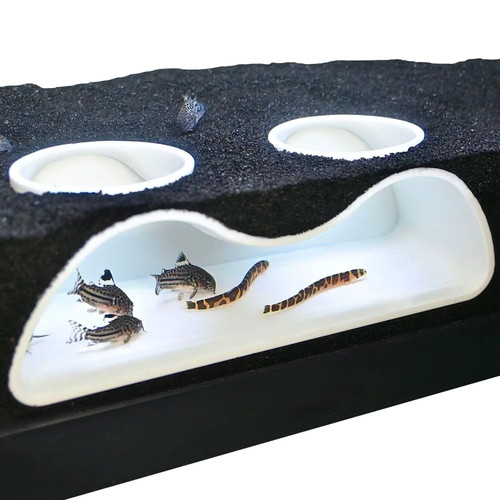 Multifunctional aquarium - multifunctional,