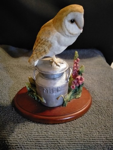 Garden guests barn owl - barn,
