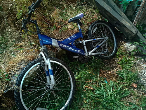 Apollo excel 24in mountain - 24in,