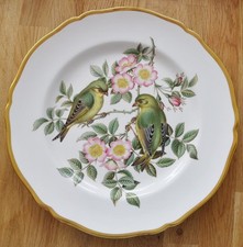 Spode china plate british - plate,