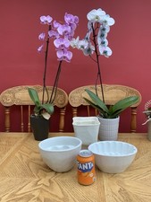 3 Antique Victorian, Ceramic