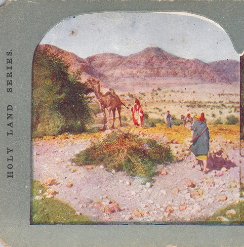 1904 stereoview card mountain - card,