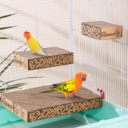 Bird parrot toy cardboard - toy,