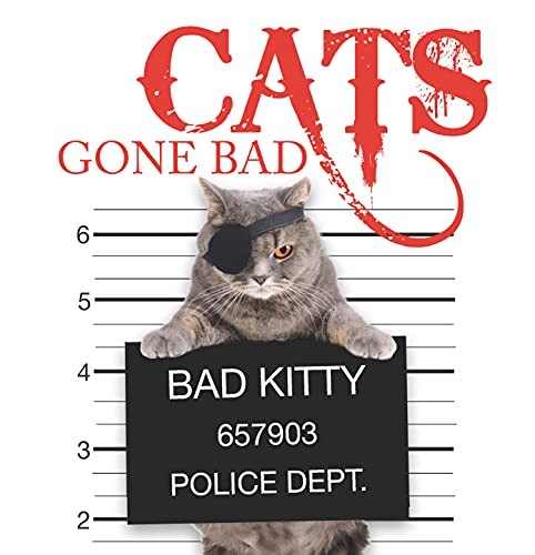 Cats gone bad - cats,