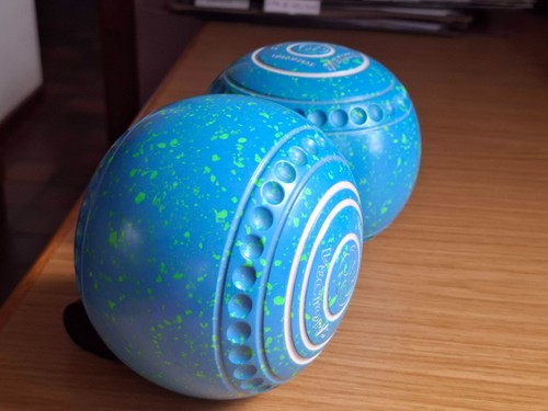 Taylor vector bowls size - taylor,