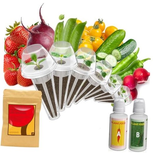 Kit semillas frutas - de,
