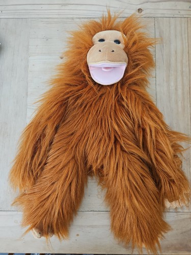 Ventriloquist dummy puppets - dummy,