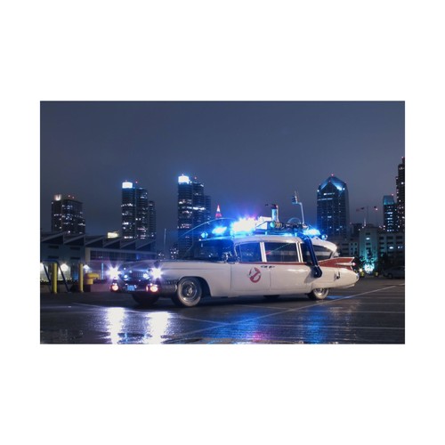 Poster ecto ghostbuster - ,