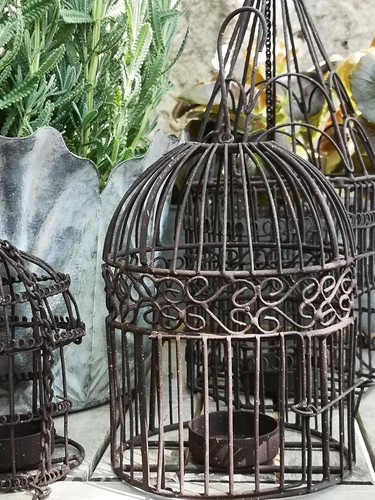 Hanging wire bird cage - hanging,