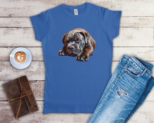Cane corso sleeping - cane,