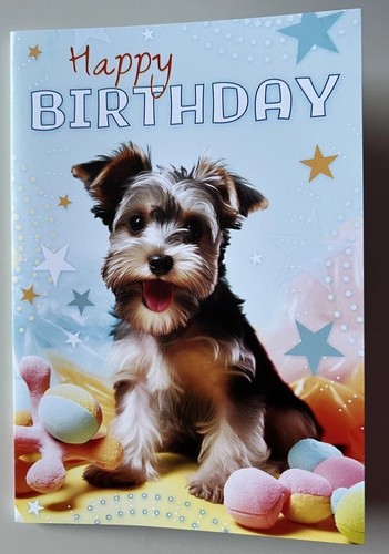 Yorkshire terrier cute - terrier, dog